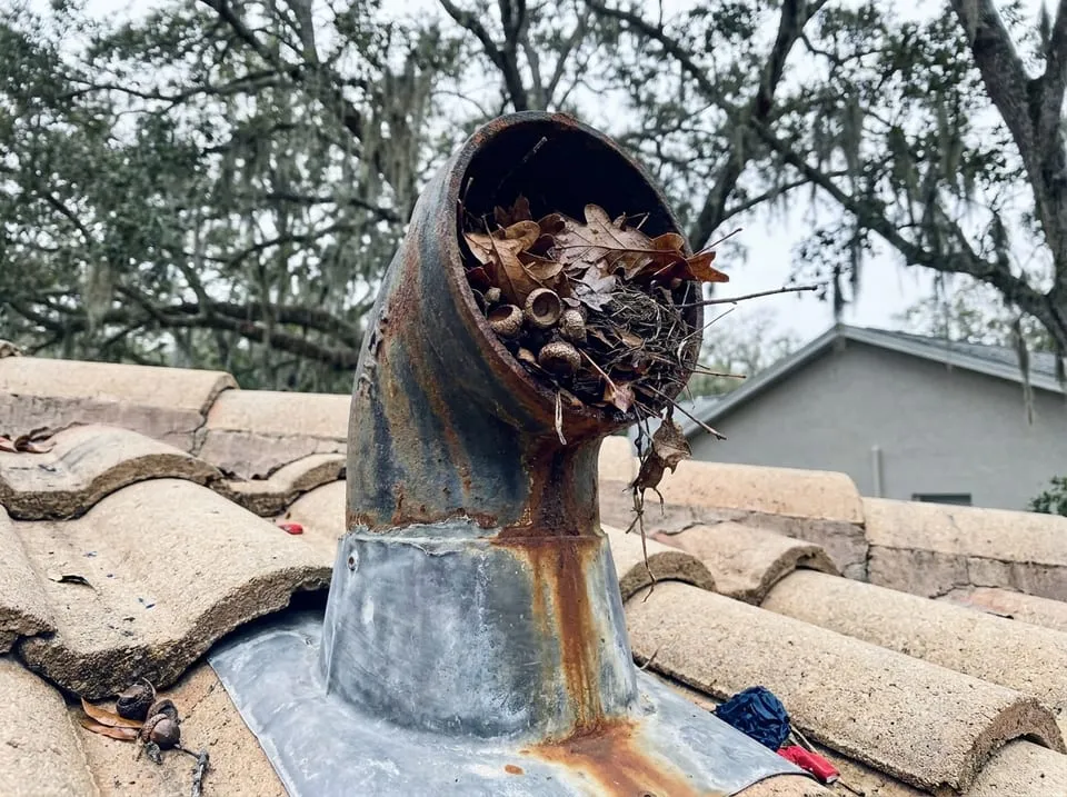 Plumbing vent stack on a barrel tile Florida roof choked with leaves, a common cause of a gurgling toilet