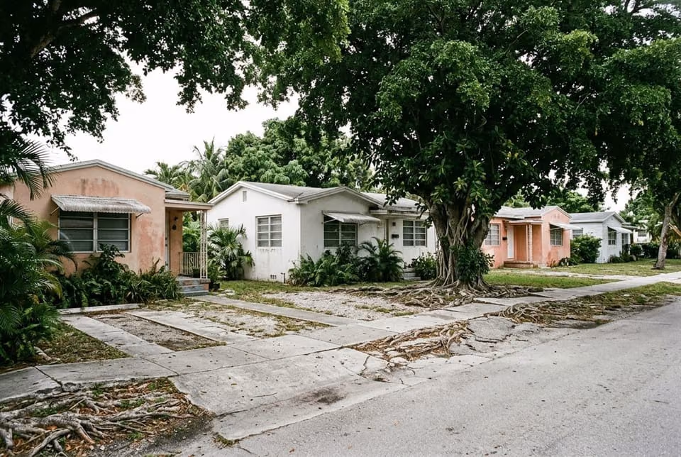 Block of 1950s Hollywood Florida bungalows with mature trees close to the sidewalk